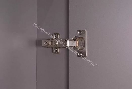 Прихожая Ольга-Лофт 4 (Дуб Крафт Золотой/Темно-Серый)