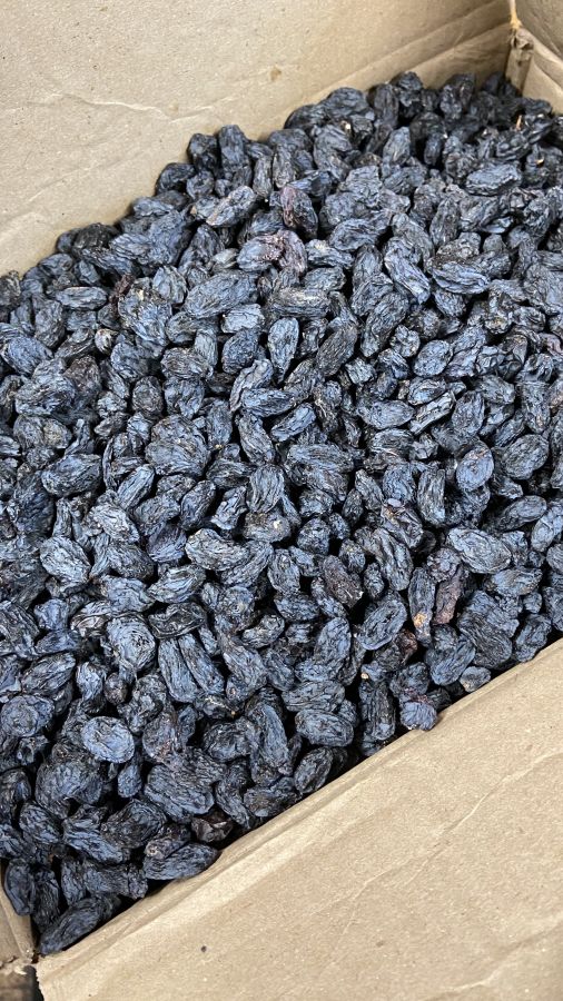 Изюм Терма темный Узбекистан