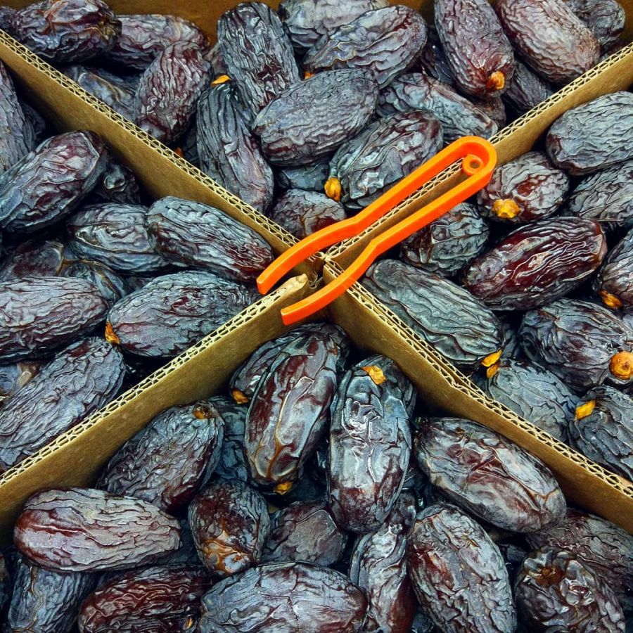 Финики Королевские Джамбо Израиль