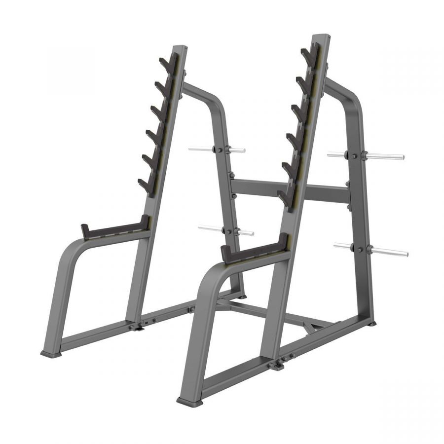 E-1050В Стойка для приседаний с ограничителями (Squat Rack)