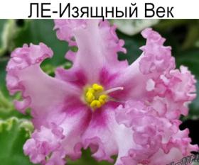 ЛЕ-Изящный Век (Е. Лебецкая)