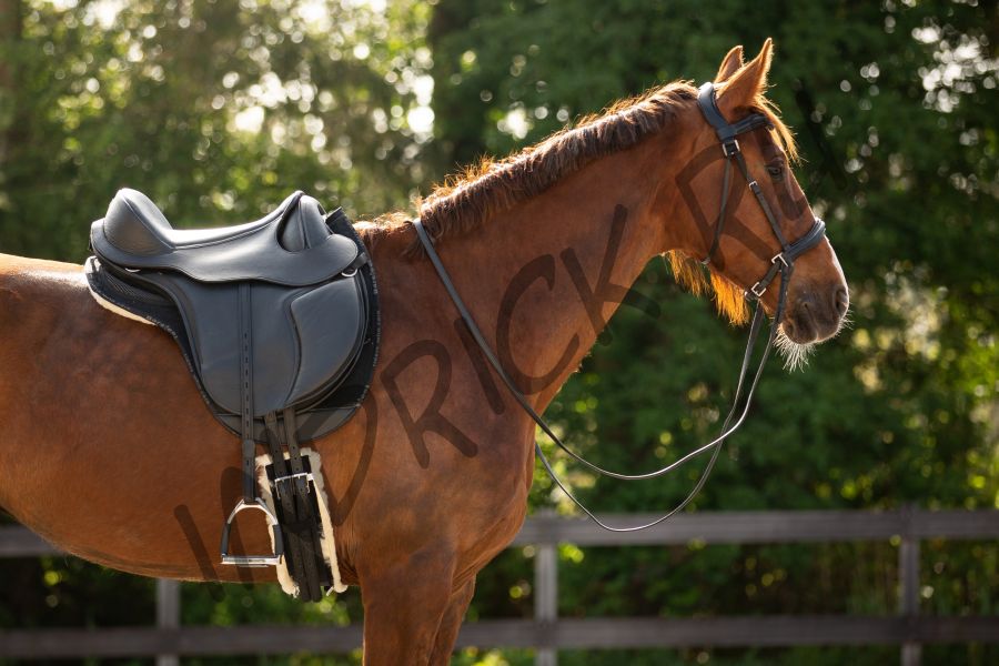 Безленчиковое седло Barefoot PRO Nottingham