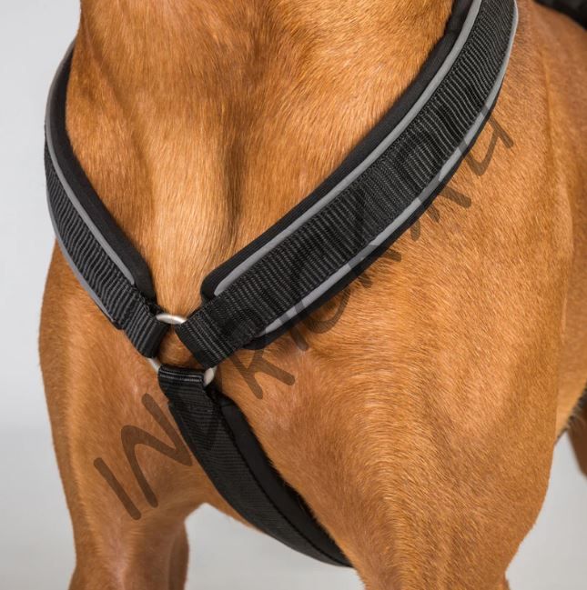 Шлейка для собаки с мягкой подложкой зеленая Back on Track Sally Vihreä