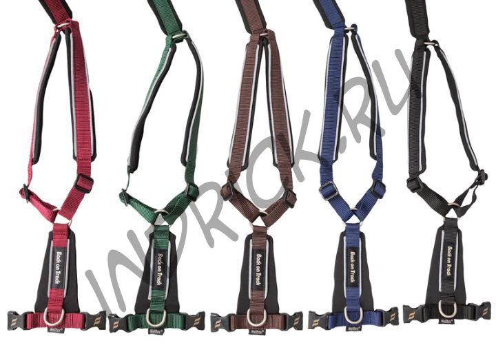 Шлейка для собаки с мягкой подложкой зеленая Back on Track Sally Vihreä