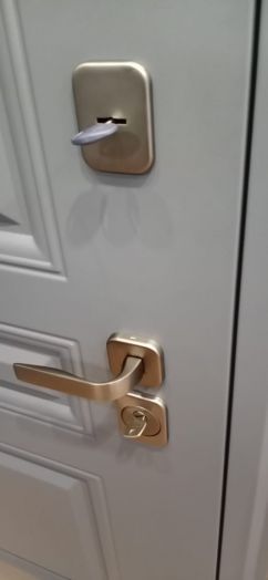 Дверь Входная АСД Барселона