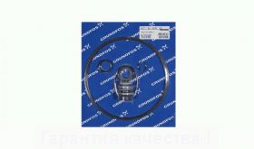 Комплект уплотнения вала Grundfos Kit, Shaft seal CRN30/60 BBUE, артикул: 345208