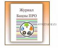 Онлайн журнал. Бацзы ПРО. Советы, подсказки, интересные примеры от практикующего специалиста Бацзы