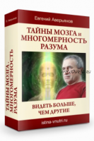 Видео семинар «Тайны мозга. Многомерность разума» (Евгений Аверьянов)