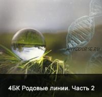 [Школа Меньшиковой] 4 курс. Факультет основной. Родовые линии. Часть 2. (Ксения Меньшикова)