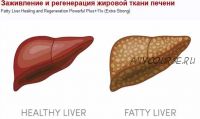 Заживление и регенерация жировой ткани печени (Sigh Energy)