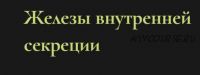 Железы внутренней секреции (Ольга Григорьева)