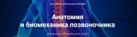 [Moscadaver] Анатомия и биомеханика позвоночника (Антон Епифанов, Михаил Касаткин)