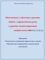 Воркбук 'Подготовка к обучению грамоте детей с нарушениями речи в группах компенсирующей направленности' (Юлия Новоселова)