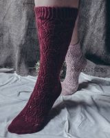 Носки 'Verbena' (vata_knit)