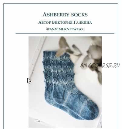 Носочки ASHBERRY SOCKS (victoria.anvimi)