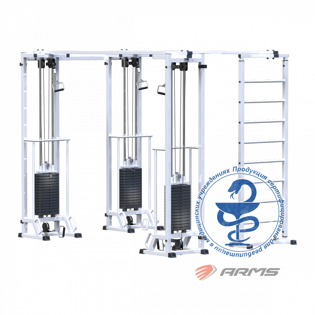 Биотонус-3+шведская стенка (стек 3х75кг) AR087.3х2400