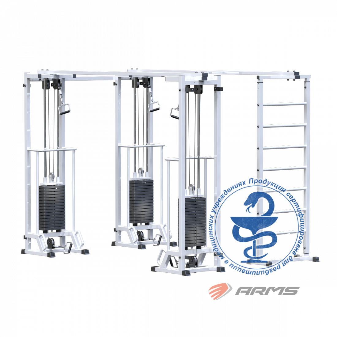 Биотонус-3+шведская стенка (стек 3х75кг) AR087.3х2200