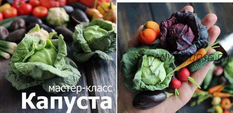 Мастер-класс Капуста (fruityclay)