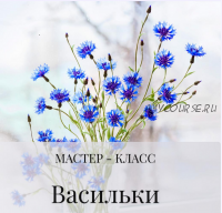 Васильки (Дина Косточка)