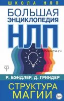 Большая энциклопедия НЛП. Структура магии (Джон Гриндер, Ричард Бэндлер)