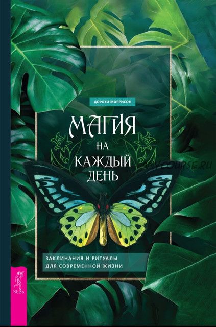 Магия на каждый день. Заклинания и ритуалы для современной жизни (Дороти Моррисон)