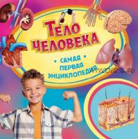 Тело человека (Ирина Травина)