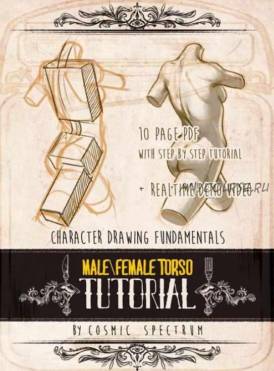 [Cosmic Spectrum Art] Character Fundamentals: Male and Female Torso (Yana Bogatch)