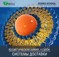 [7koschool] Курс-практикум 'Косметическая химия'. Блок 11 'Трансэпидермальные системы доставки' (Анастасия Семко)