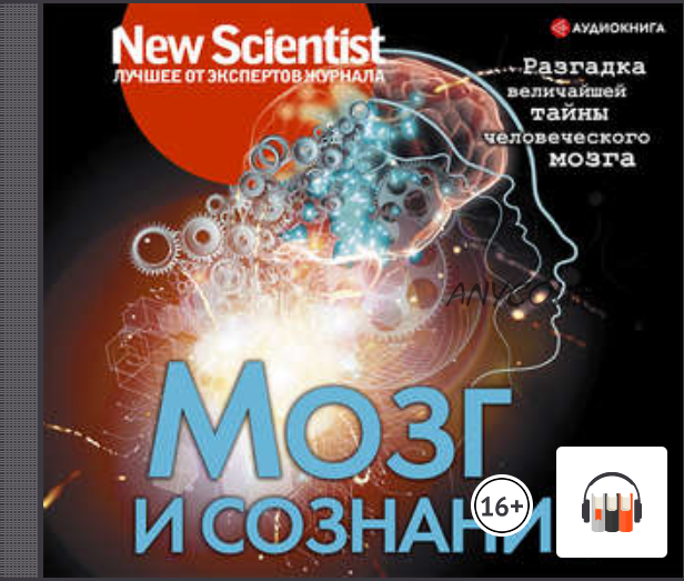 [New Scientist] Мозг и сознание. Разгадка величайшей тайны человеческого мозга