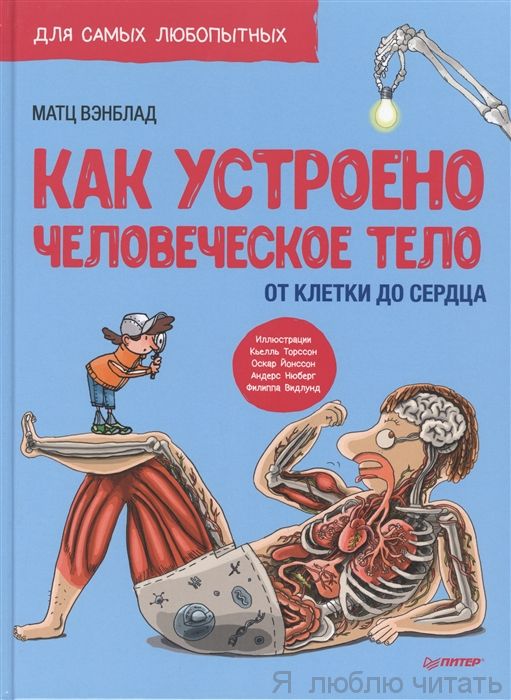 Как устроено Человеческое тело. От клетки до сердца