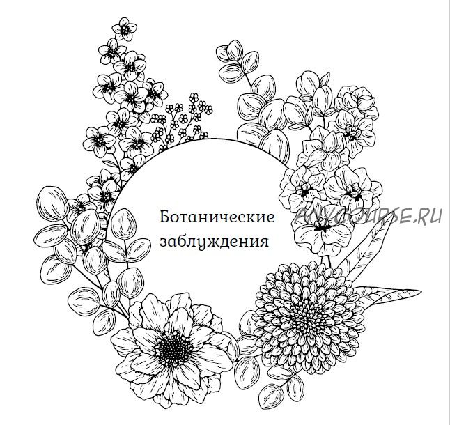 Сборник ботанических заблуждений (Виолетта Сорокина)