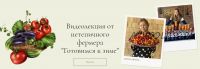 Видеолекция от нетепичного фермера 'Готовимся к зиме' (Анна Акинина)