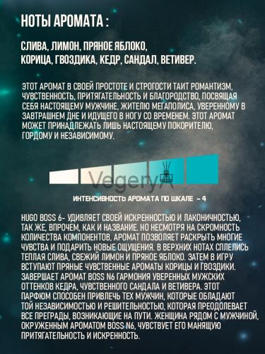 Автомобильный ароматизатор HUGO BOSS 6