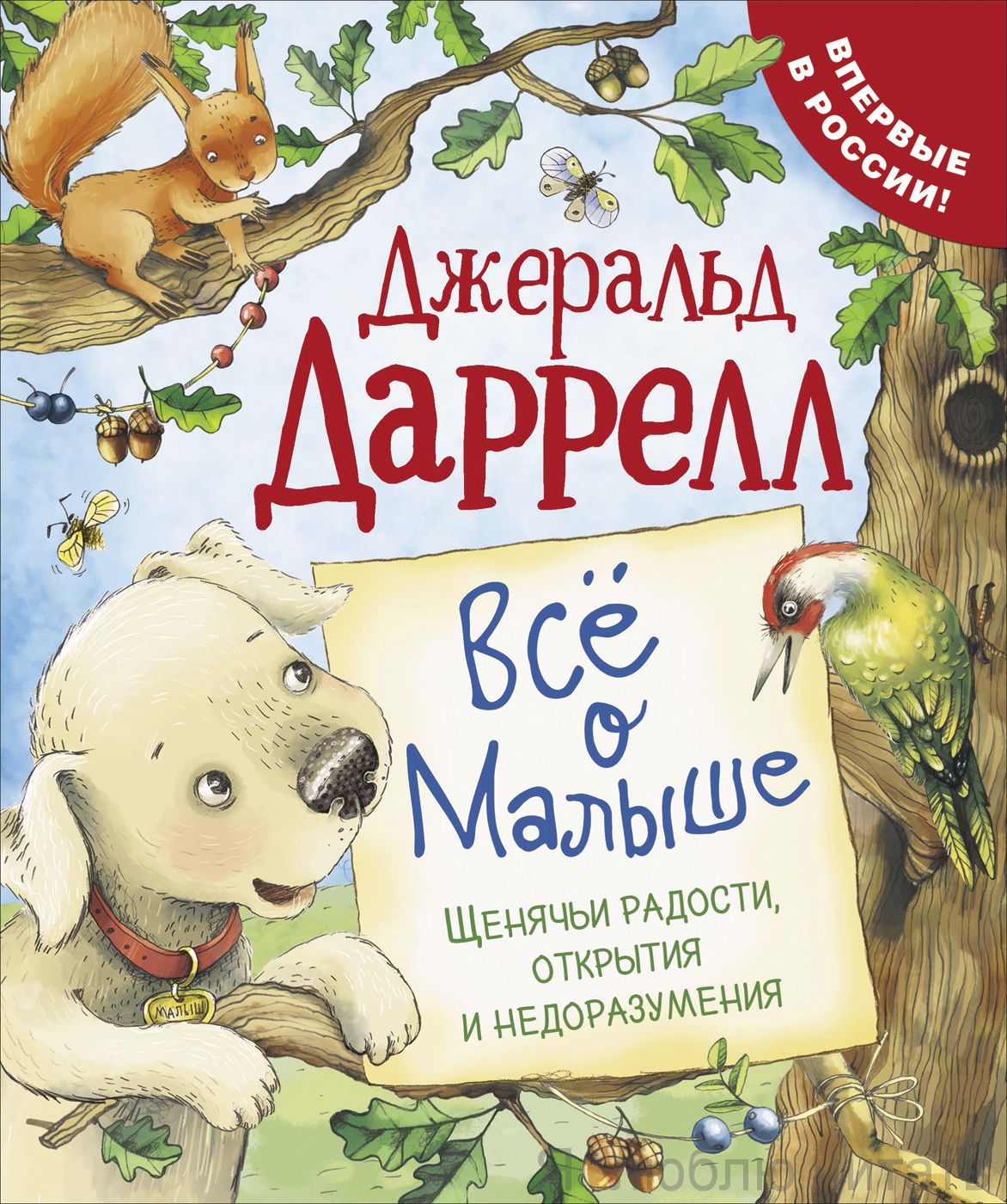 Всё о Малыше
