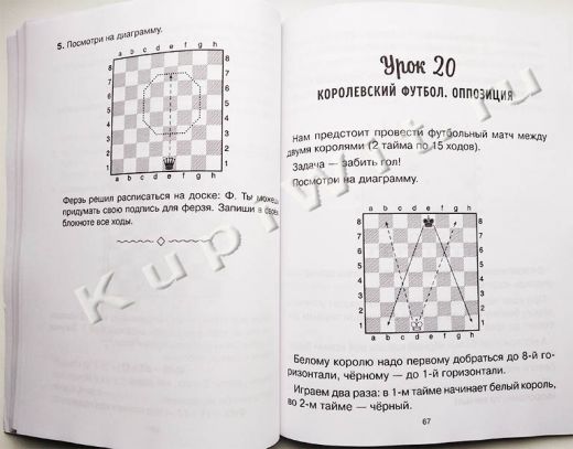 33 урока шахмат для детей