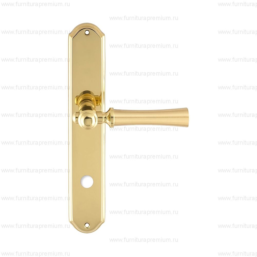 Ручка на планке Extreza Dezi 309 WC PL01