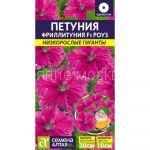 Фриллитуния Роуз F1/Сем Алт/ Низкорослые гиганты