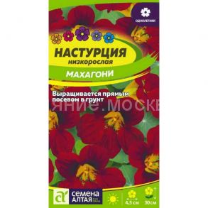 Настурция Махагони низкорослая (Семена Алтая)