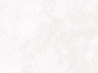 Плита TSS Duco 8702/Ur Argento Bianco 2440х1830х18 мм