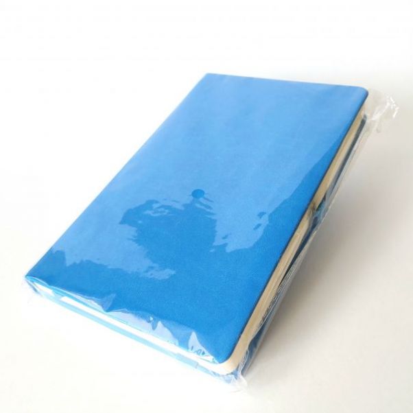 Ежедневник Hamilton голубой