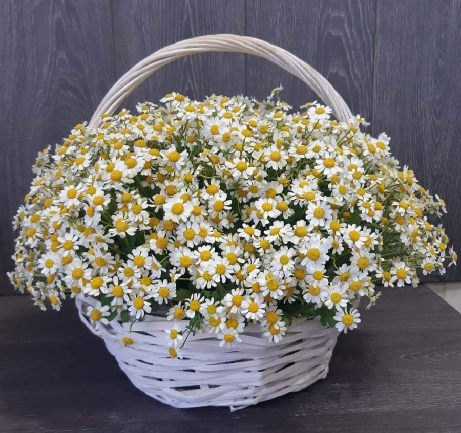 Ромашки в Корзинке