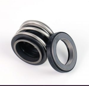 Торцевое уплотнение MG1/100-z