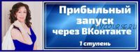 Прибыльный запуск через ВКонтакте в мягких нишах (Анастасия Заботнюк)