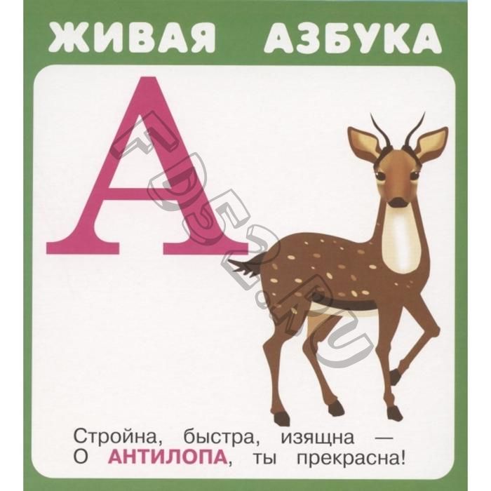 Живая азбука