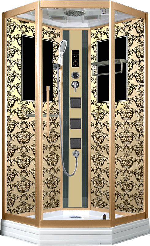 Душевая кабина Niagara Lux 7717G 100x100