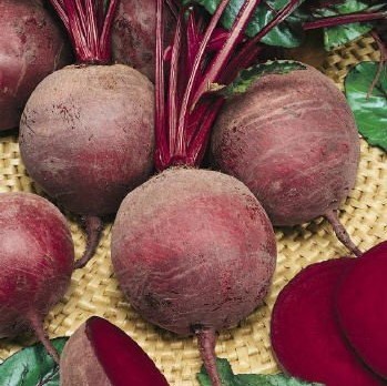 Свёкла столовая ПАБЛО F1, 10.000 семян