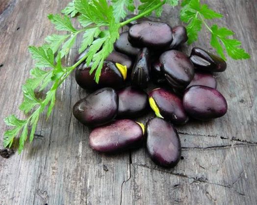 Бобы овощные Русские чёрные, 25г семян