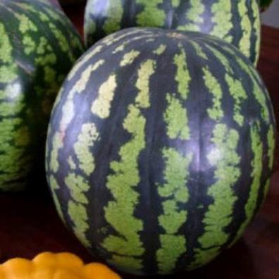 Арбуз ФОТОН, 50г семян