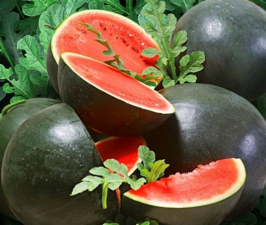 Арбуз ШУГА БЕЙБИ, 50г семян