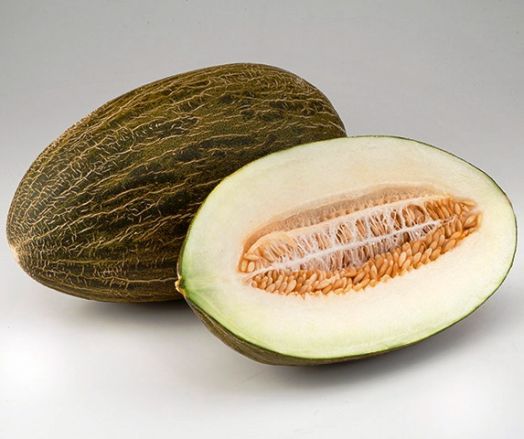 Дыня Хабалон F1, 10шт семян
